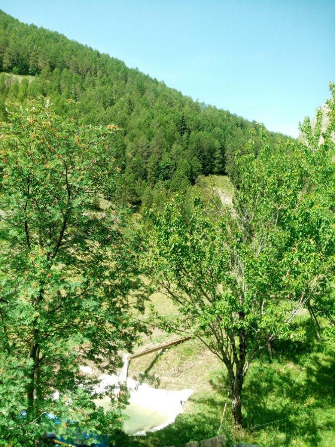 Chalet Lou Bella Vista Auron Exteriör bild